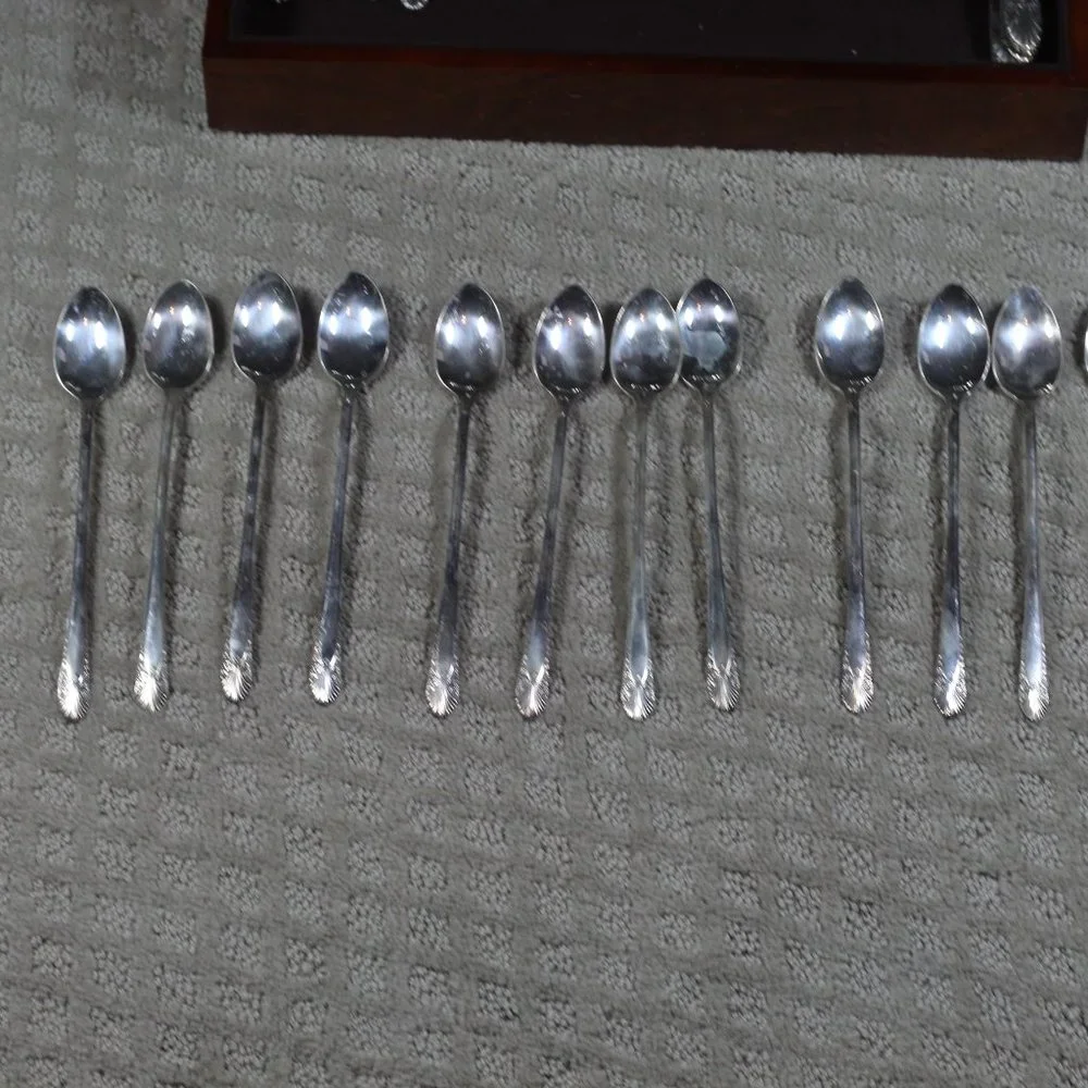 RARE FIND! Crown Plate Silverplated Service for Eight in “Radiance”